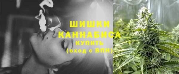 МДПВ Богородск