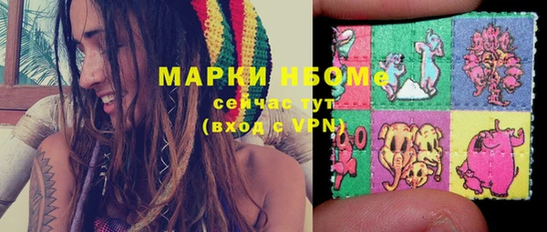 МДПВ Богородск