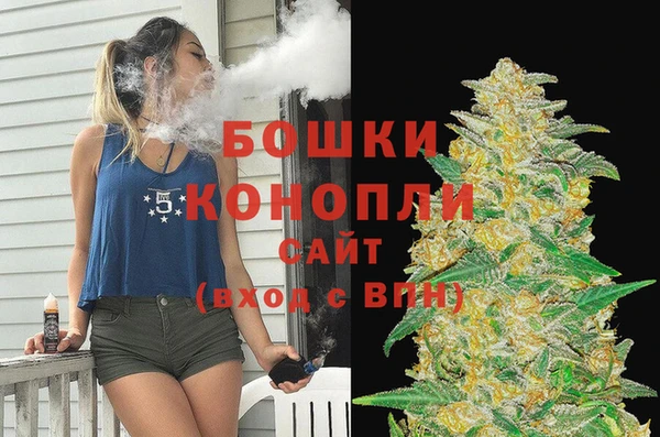МДПВ Богородск